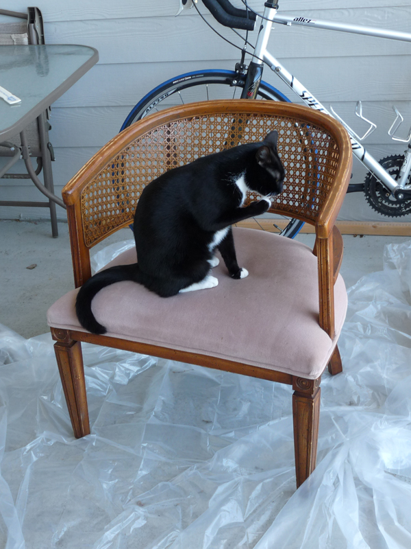 Em for Marvelous - cane side chairs