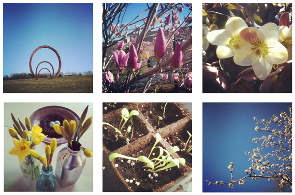 Spring instagram