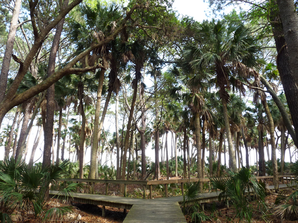 Hunting Island state park