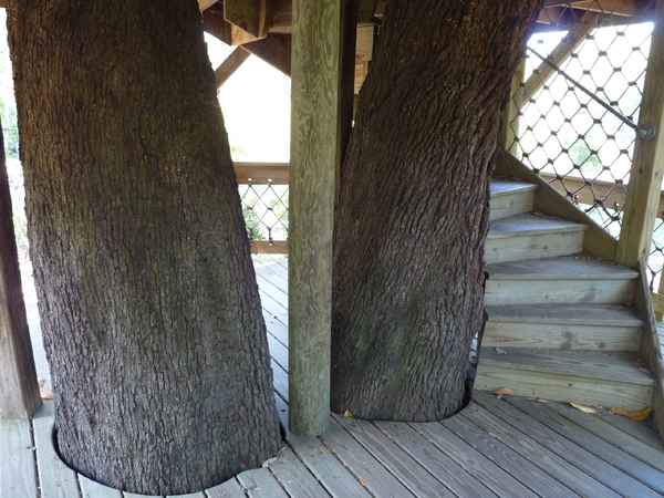 Palmetto Bluff tree house