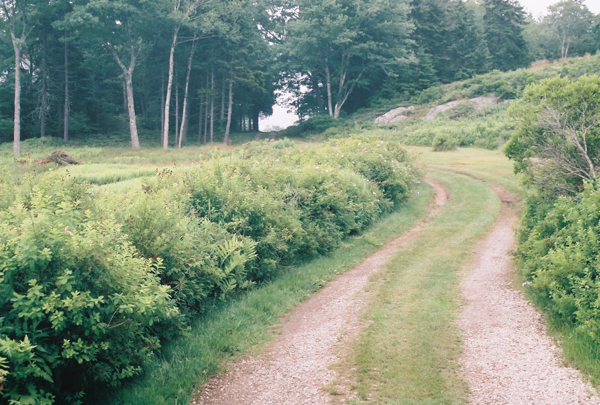 maine island