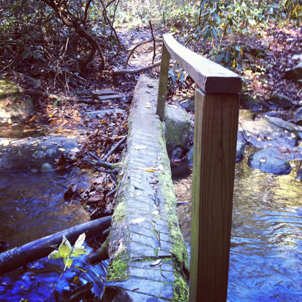 Asheville hike