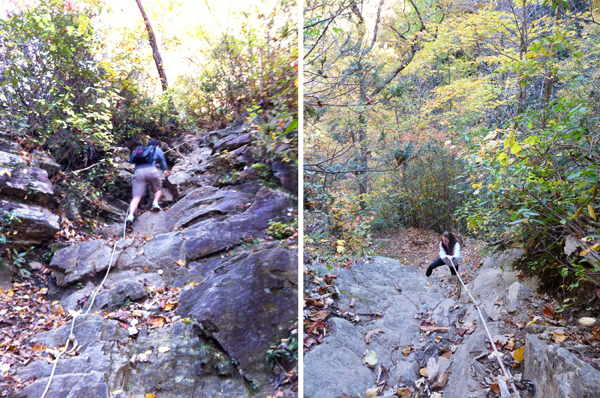 Asheville hike