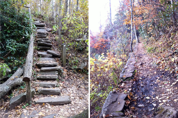 Hiking in Asheville