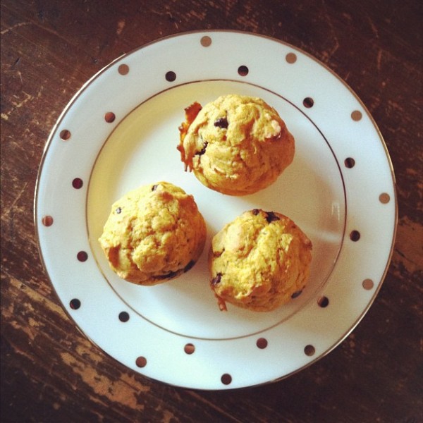 pumpkin chocolate chip muffins
