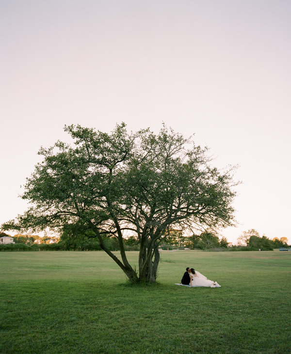 wedding-picnic