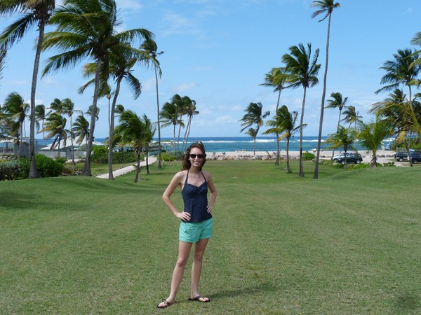 avenue of palms