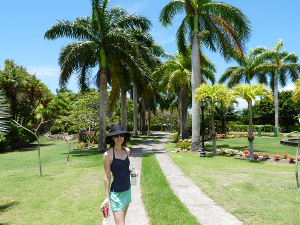 gardens in nevis