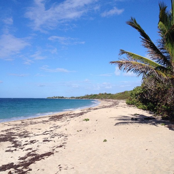 lovers beach nevis