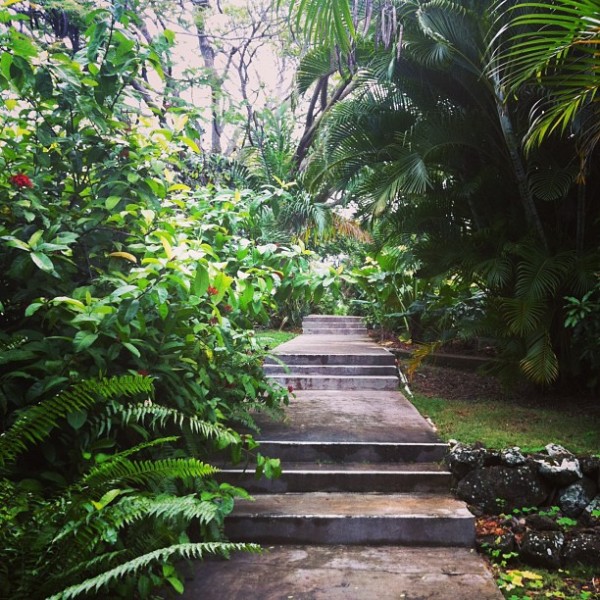montpelier nevis resort