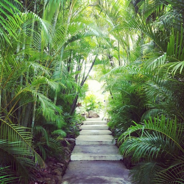montpelier-plantation