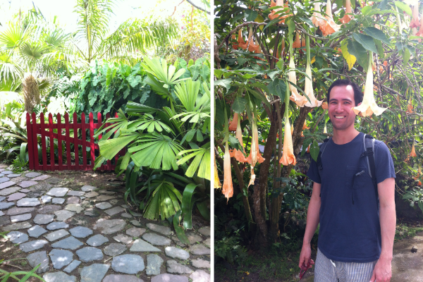 nevis-golden-rock-gardens