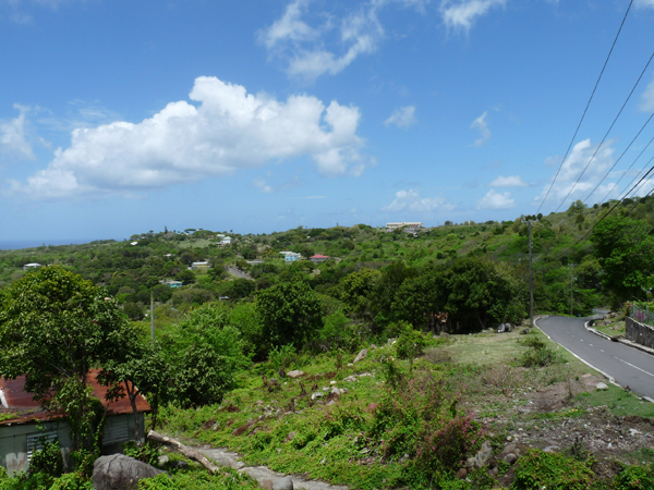 nevis roads