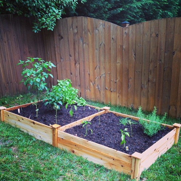 new raised bed