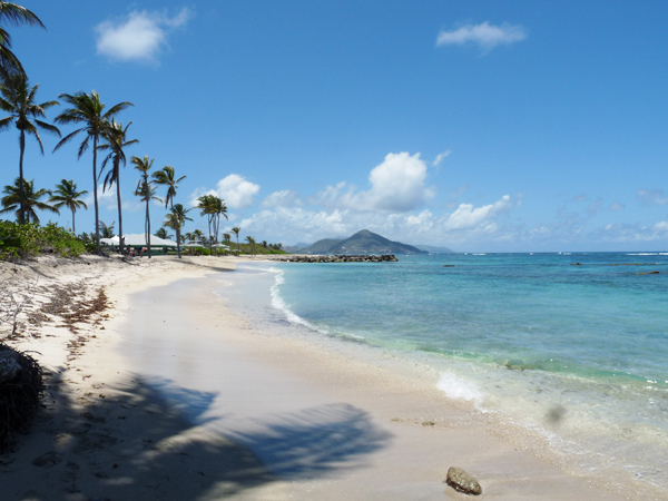 nisbet-beach
