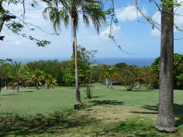 view from montpelier
