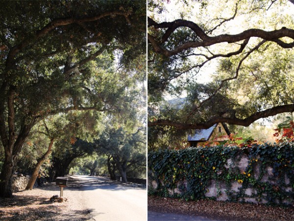 ojai_03