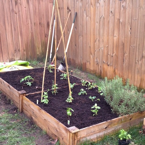 spring-garden