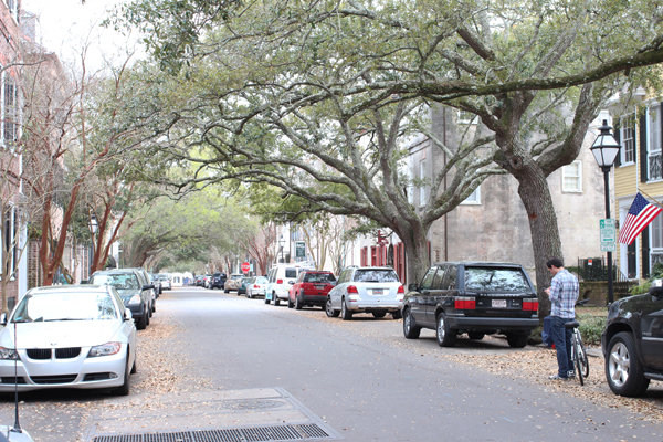 charleston-oaks