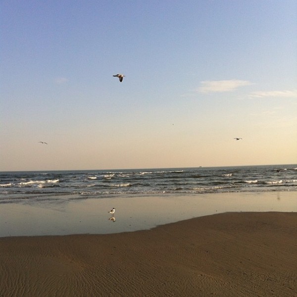 folly-beach