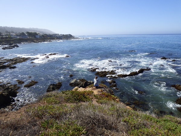 cambria-coast