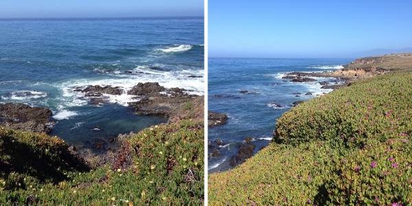 cambria-coastline