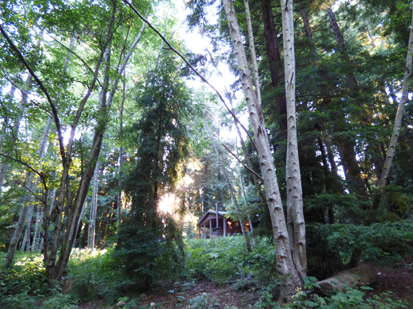 glen-oaks-big-sur