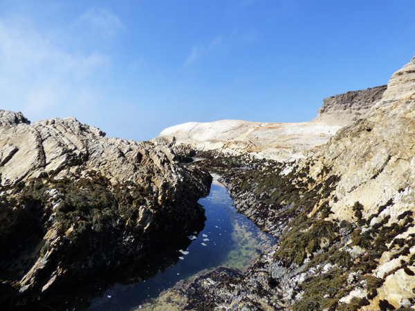 montana-de-oro-tide-pools