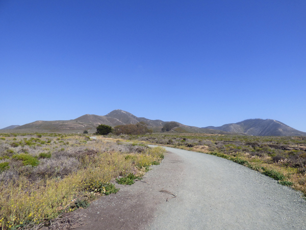 mountains-and-coast