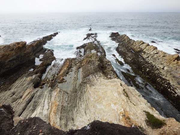 pacific-coast