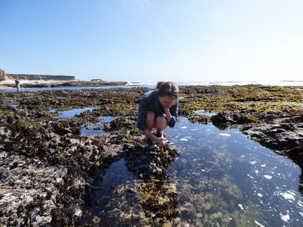 pacific-tide-pools