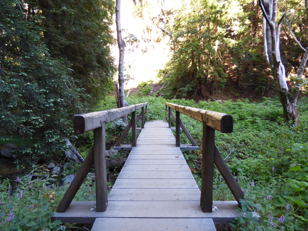 partington-cove-bridge