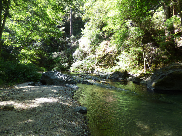 big-sur-river