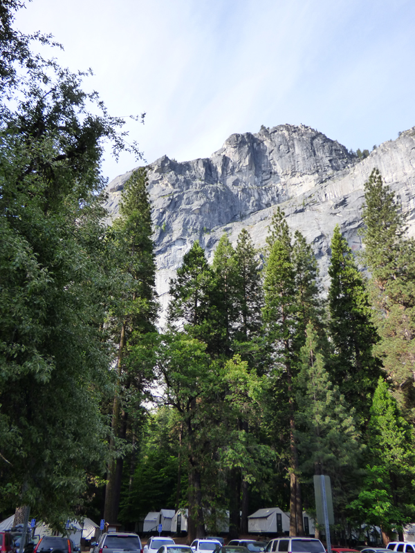 camp-curry-yosemite
