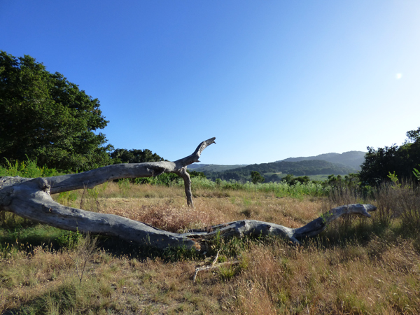 carmel-valley-hike