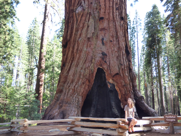 faithful-couple-sequoia