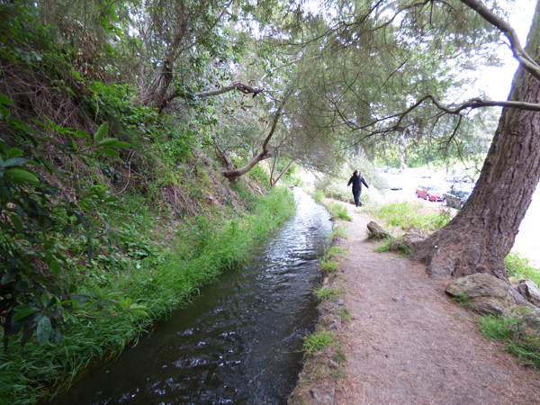 golden-gate-park