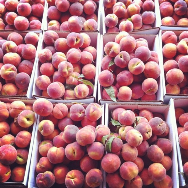 peaches