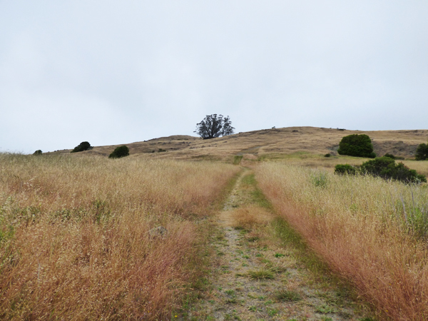ring-mountain