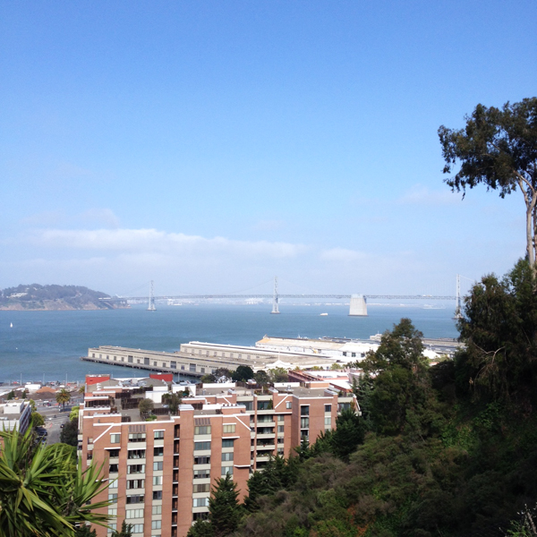 san-francisco-bridge