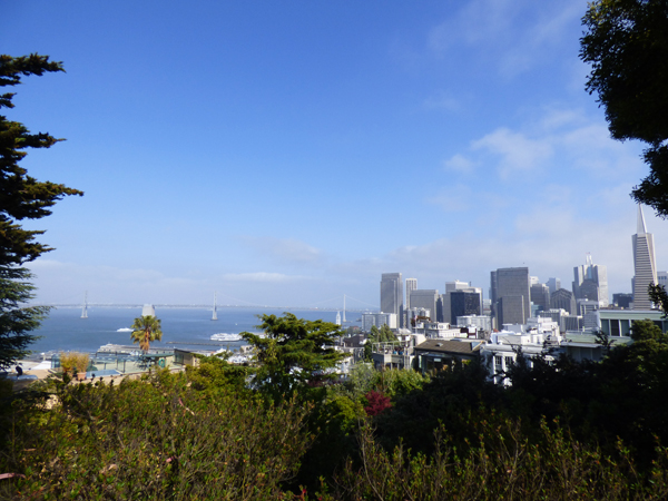 san-francisco-skyline