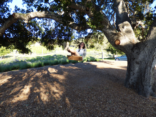tree-swing