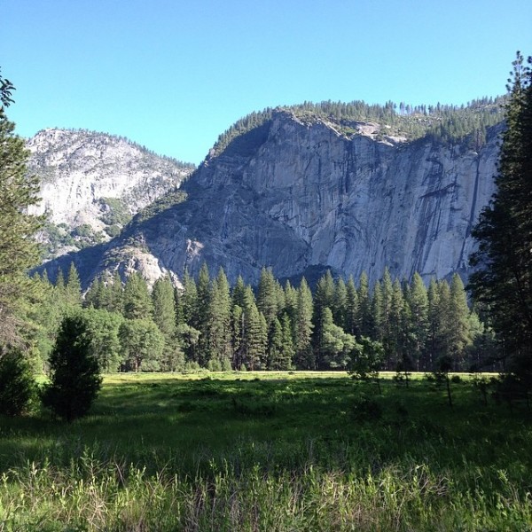 yosemite-meadow