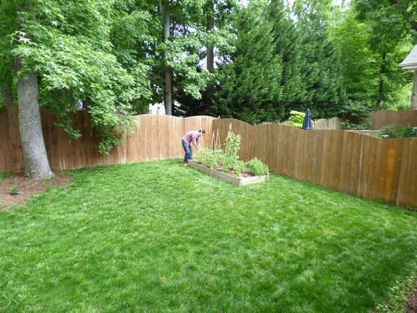 back-yard