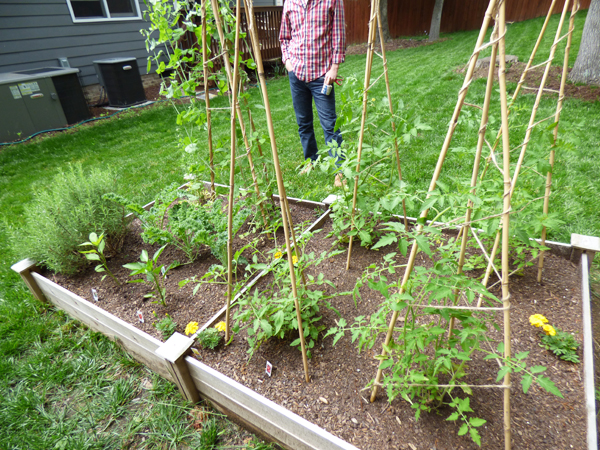 raised-bed