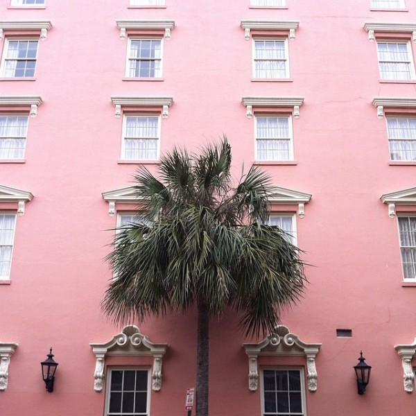 charleston-pink-600x600