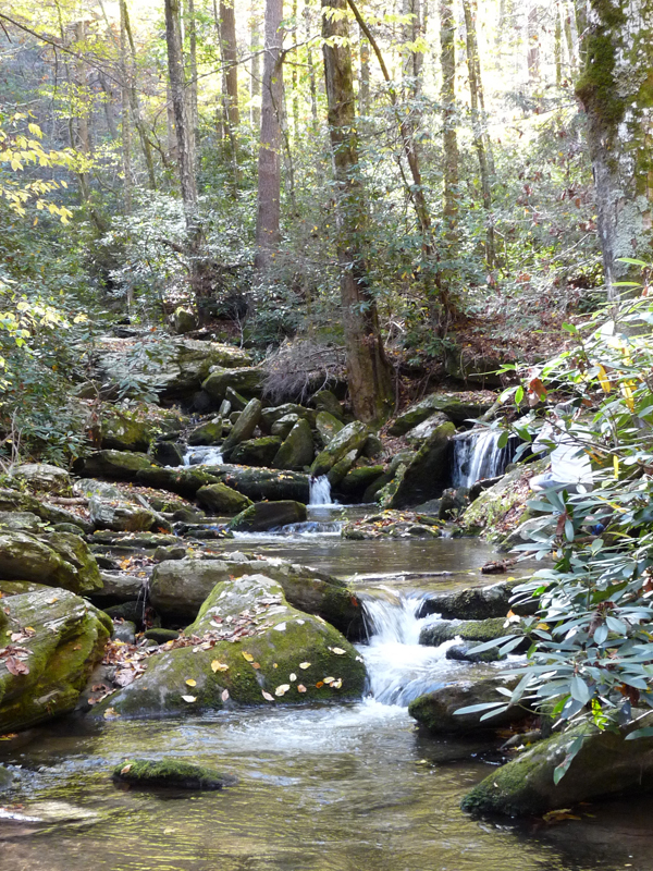 mossy-waterfalls