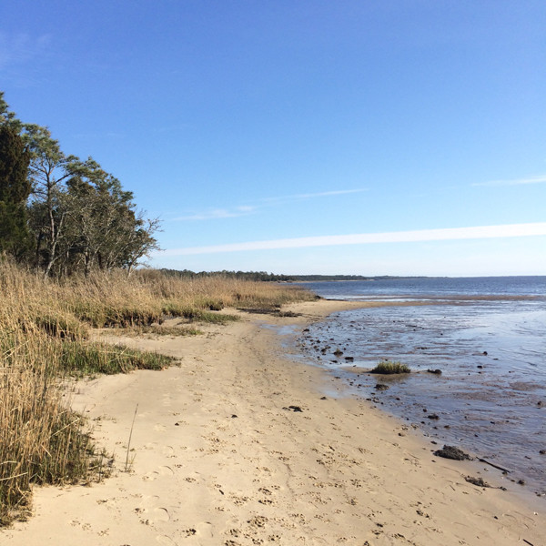 carolina-beach