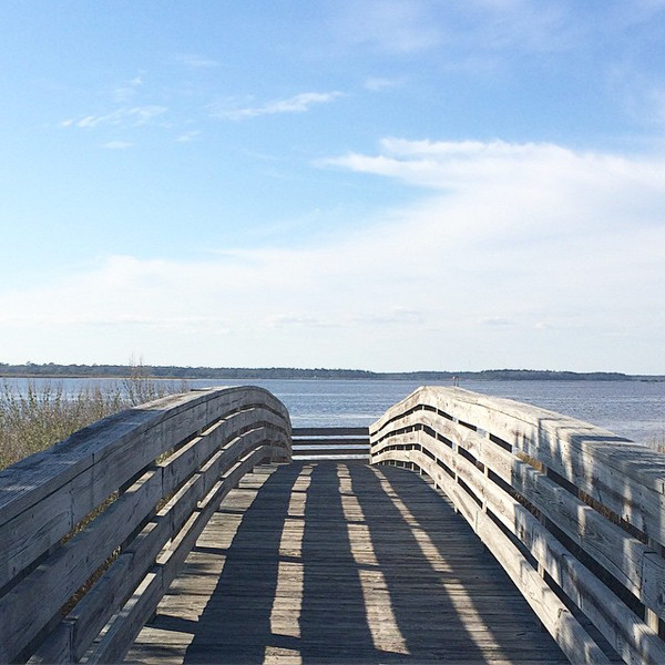 carolina-beach-hiking