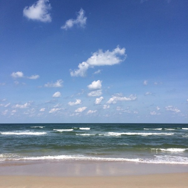 bald-head-ocean